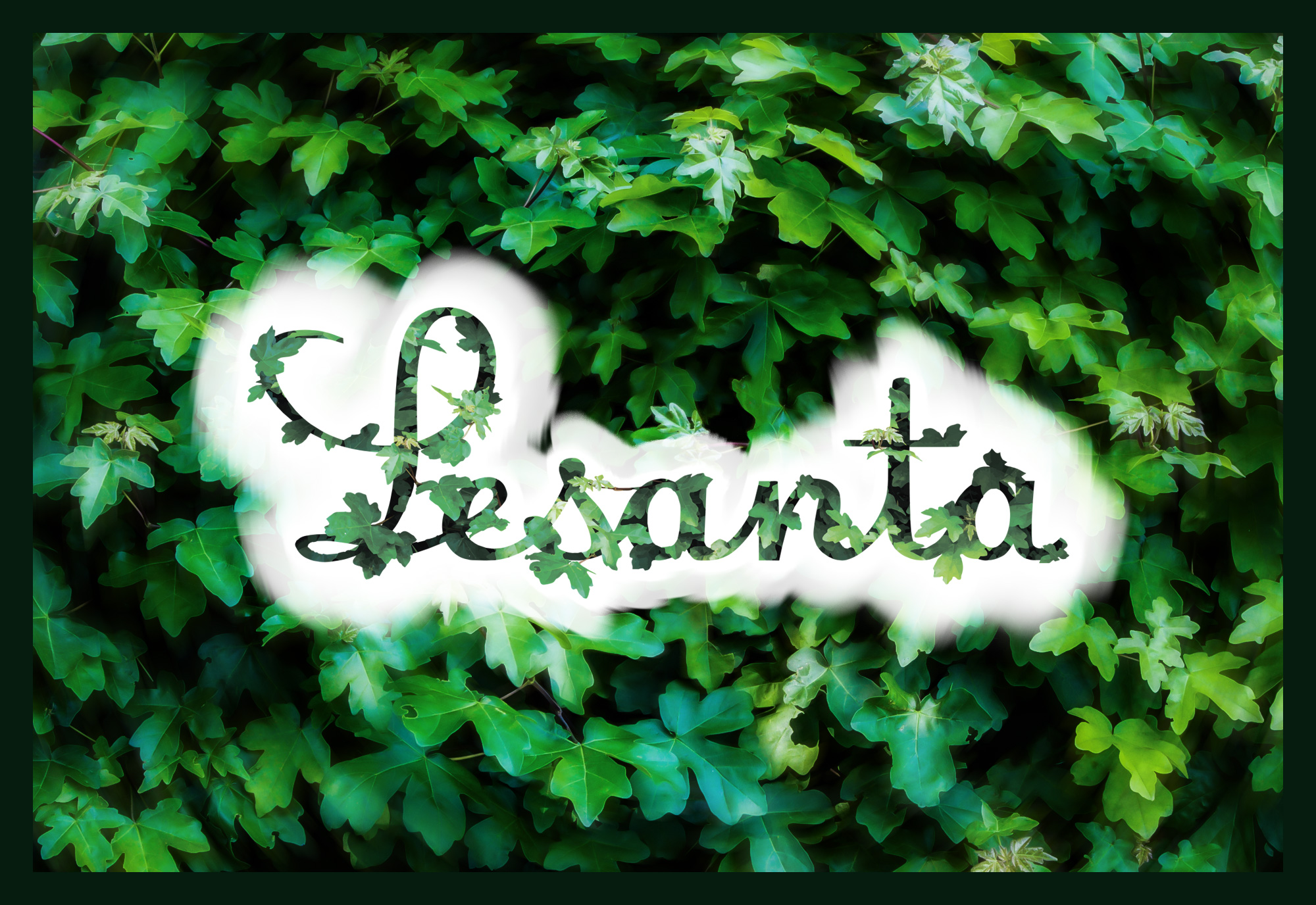 Логотип для магазина саженцев и растений